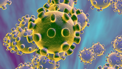 Graphic depicting SARS-CoV2, the novel coronavirus.